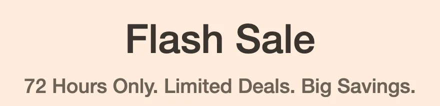A section heading on EcoFlow’s sale page reading “Flash Sale, 72 Hours Only. Limited Deals. Big Savings.”